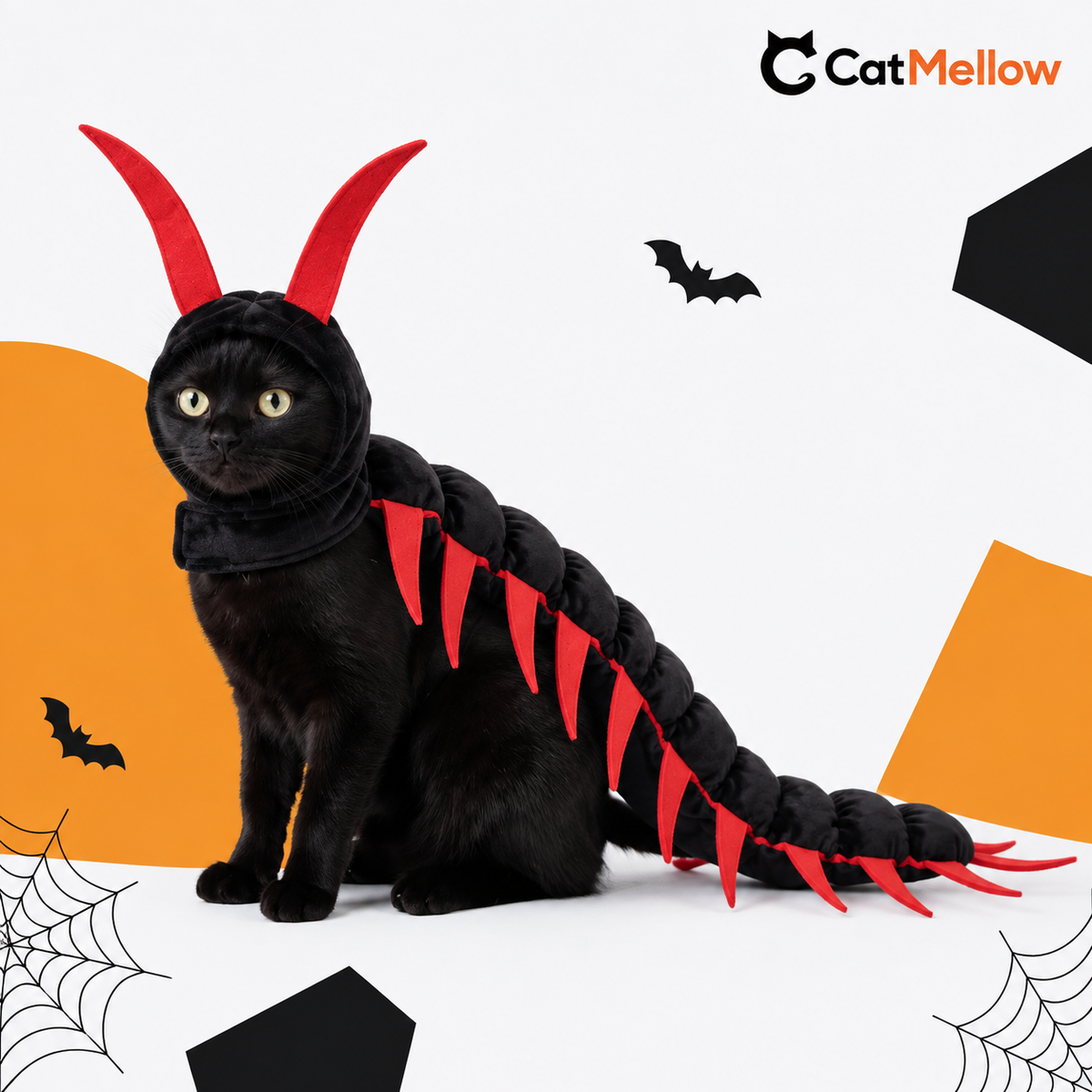 Black cat wearing the black-and-red CatMellow centipede Halloween costume on a white studio background
