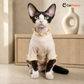 Black-and-white cat wearing the cream CatMellow Snack Time T-shirt, front view
