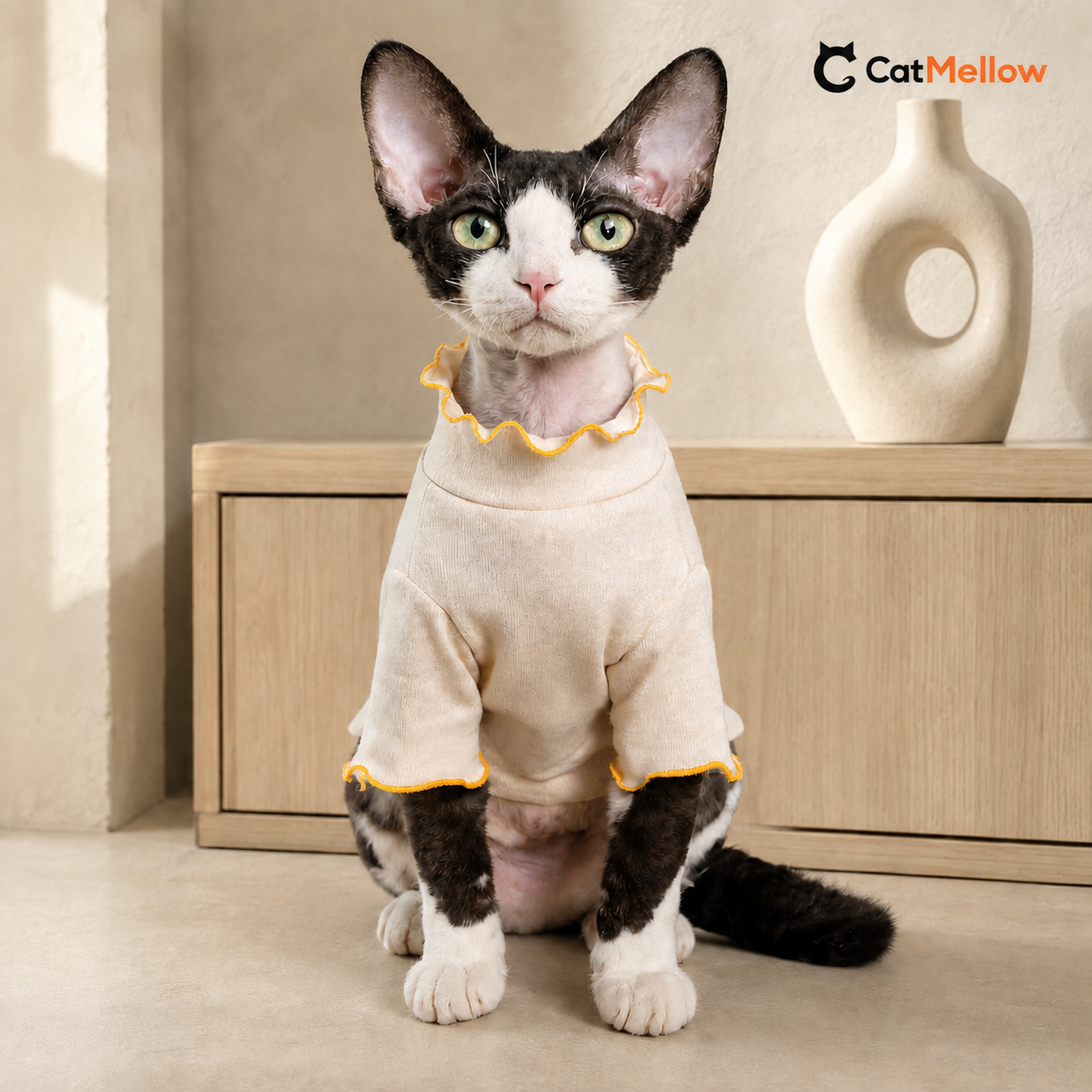 Black-and-white cat wearing the cream CatMellow Snack Time T-shirt, front view
