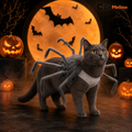Charcoal-gray cat wearing a gray fuzzy spider costume in front of an orange Halloween moon.