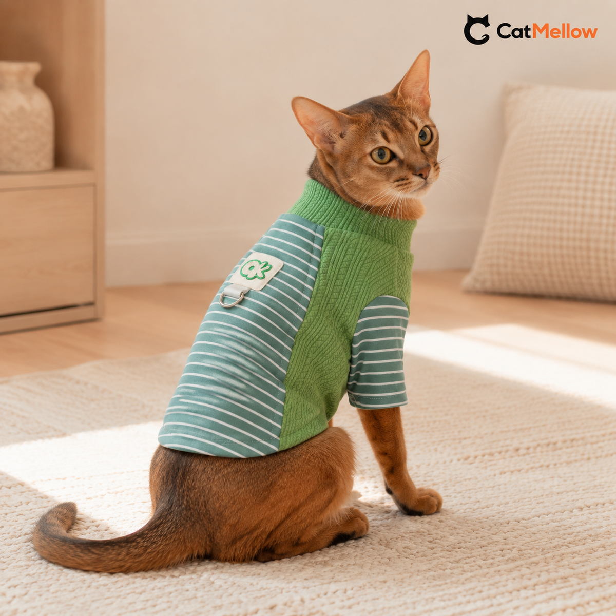 Cat wearing the green CatMellow pastel stripe knit shirt in a warm home.