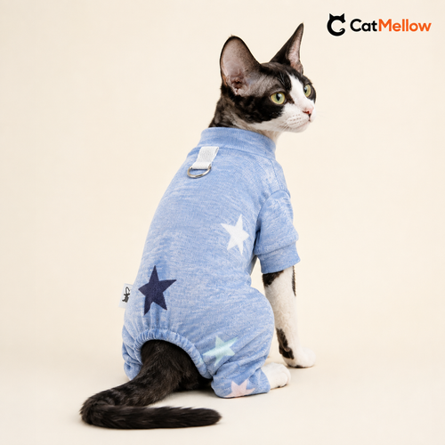 Black-and-white large-eared cat wearing a pale blue star-pattern four-leg jumpsuit, rear three-quarter view showing the D-ring