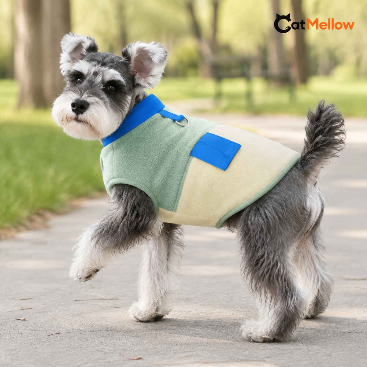 Schnauzer wearing the green, white and blue CatMellow color-block fleece dog vest outdoors.