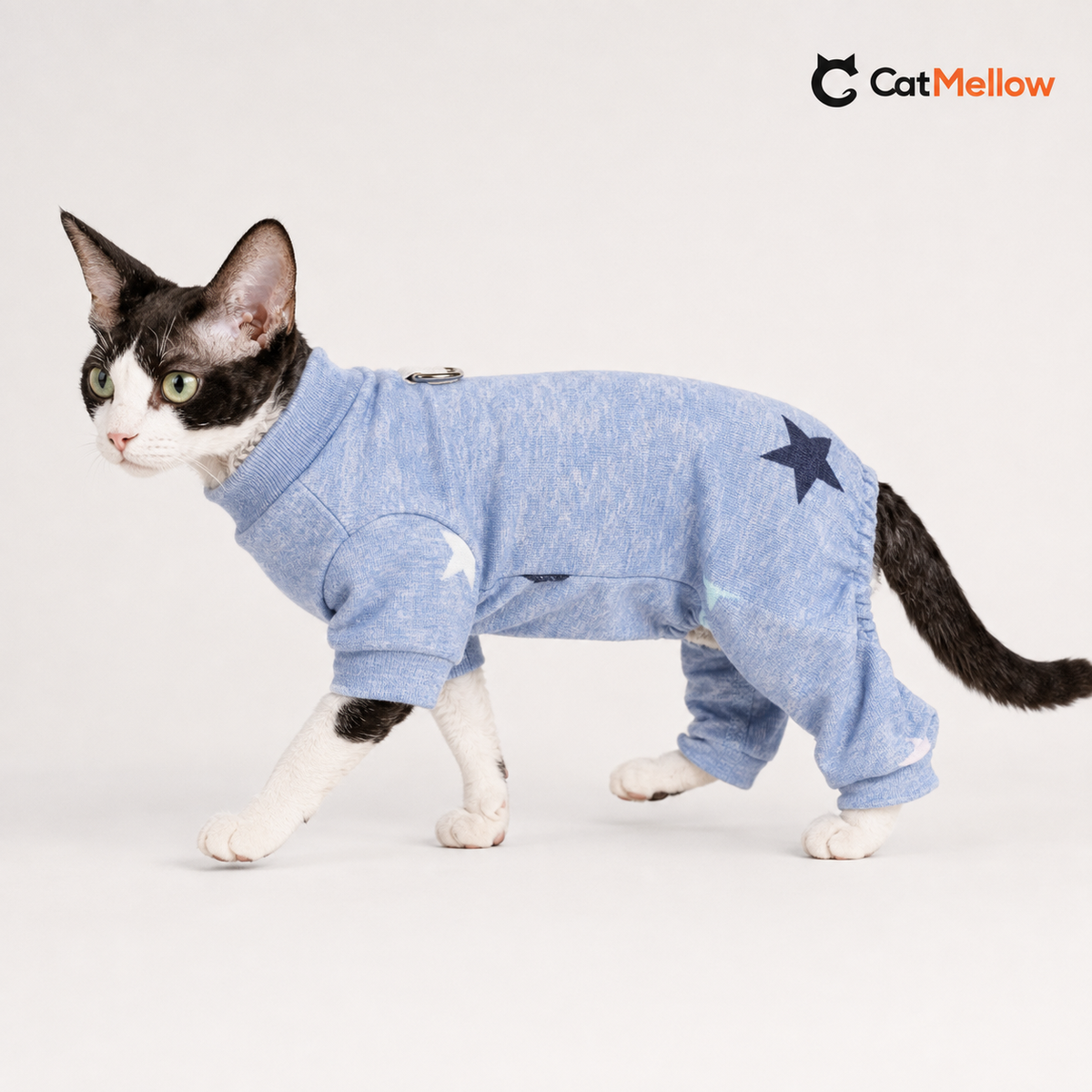 Black-and-white large-eared cat walking in a pale blue star-pattern four-leg jumpsuit, side view