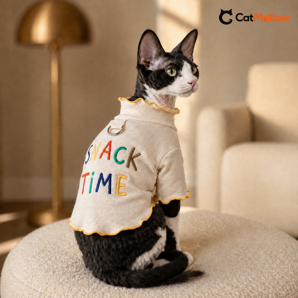 Black-and-white cat wearing the cream Snack Time T-shirt in a warm lounge, three-quarter view