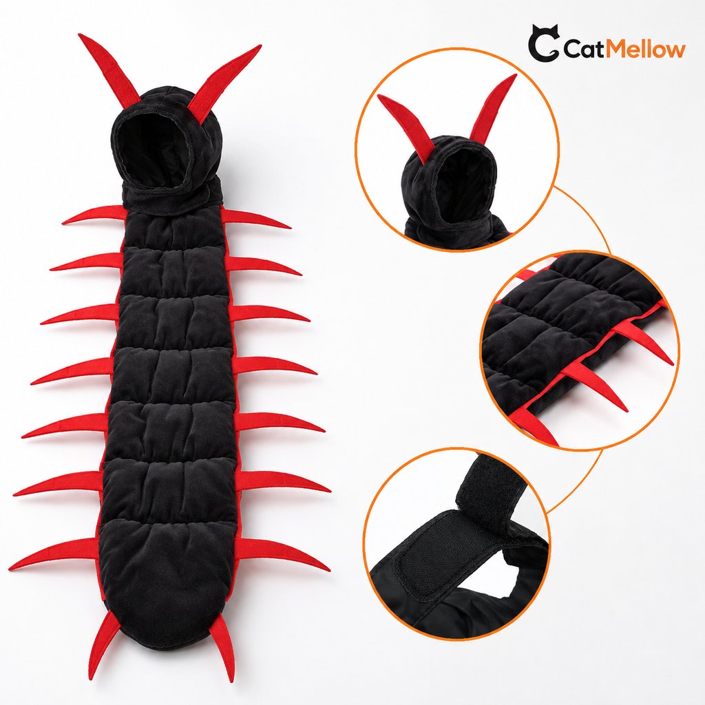 Full centipede cat costume with close-ups of its antennae, segmented body and fastening