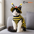 Black-and-white curly-haired cat wearing the yellow-and-black bee costume set beside a window