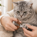 Hands-only close-up trimming a silver tabby cat claw with the CatMellow wooden nail clipper