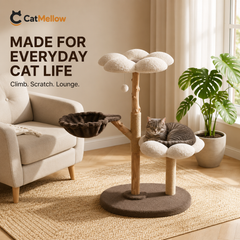 Gray tabby cat lounging on the CatMellow flower-shaped cat bed
