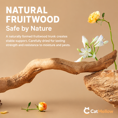 Natural fruitwood trunk material detail
