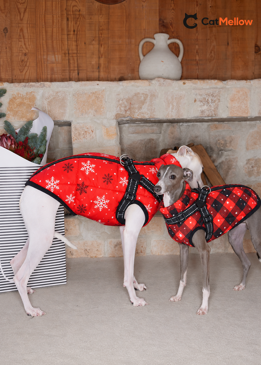 Two Italian greyhounds wearing red snowflake and red-black plaid padded dog coats by a fireplace.