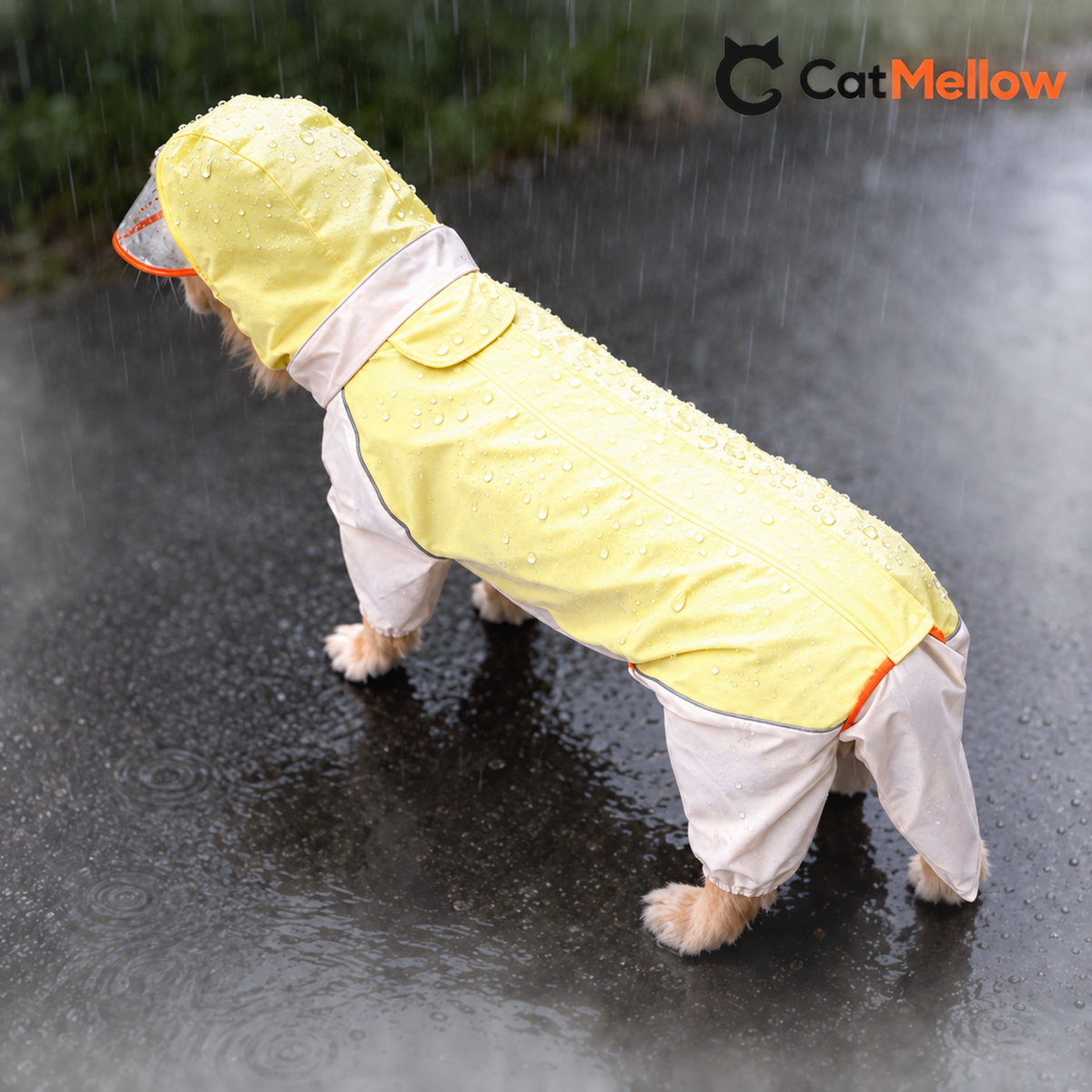 Back view of yellow and cream four-leg dog raincoat