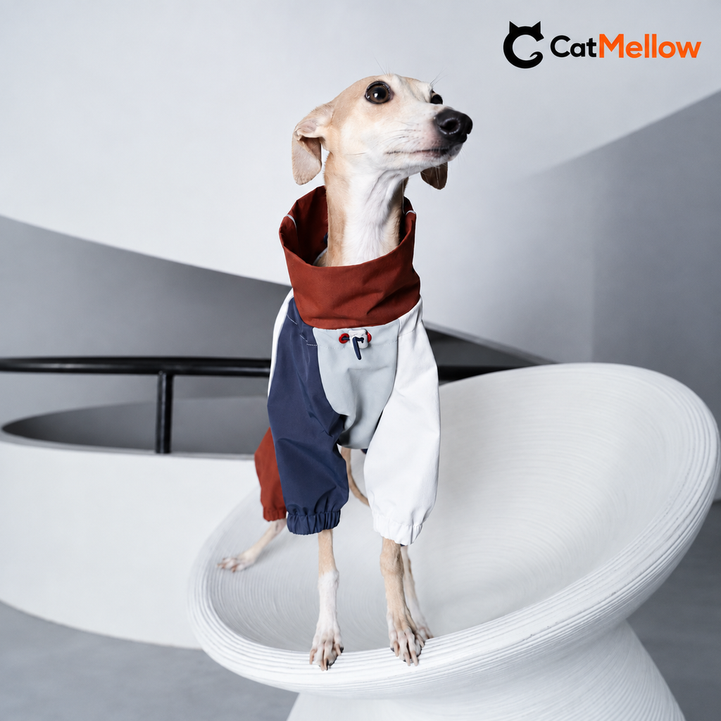 Front alternate view of the four-leg dog raincoat