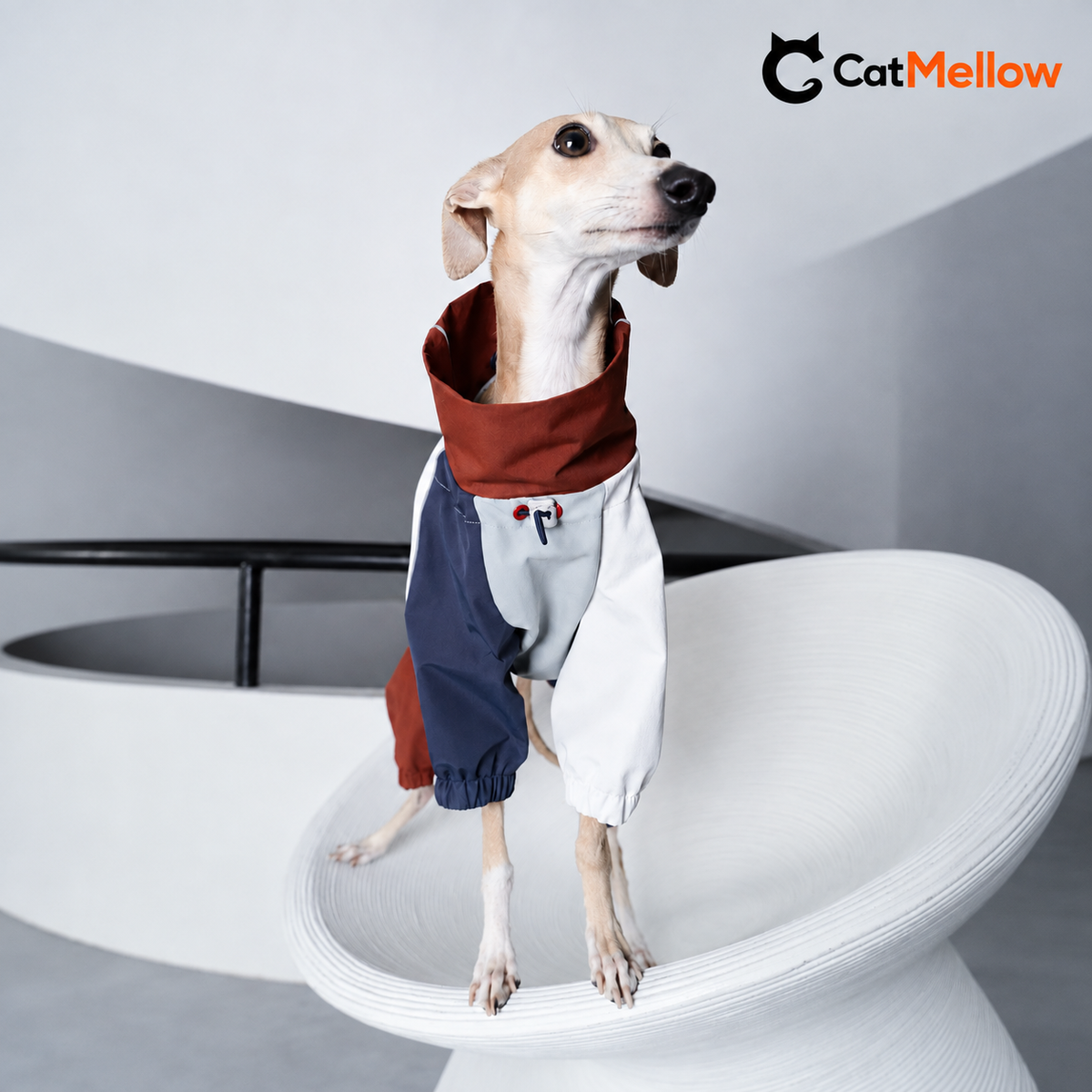 Front alternate view of the four-leg dog raincoat