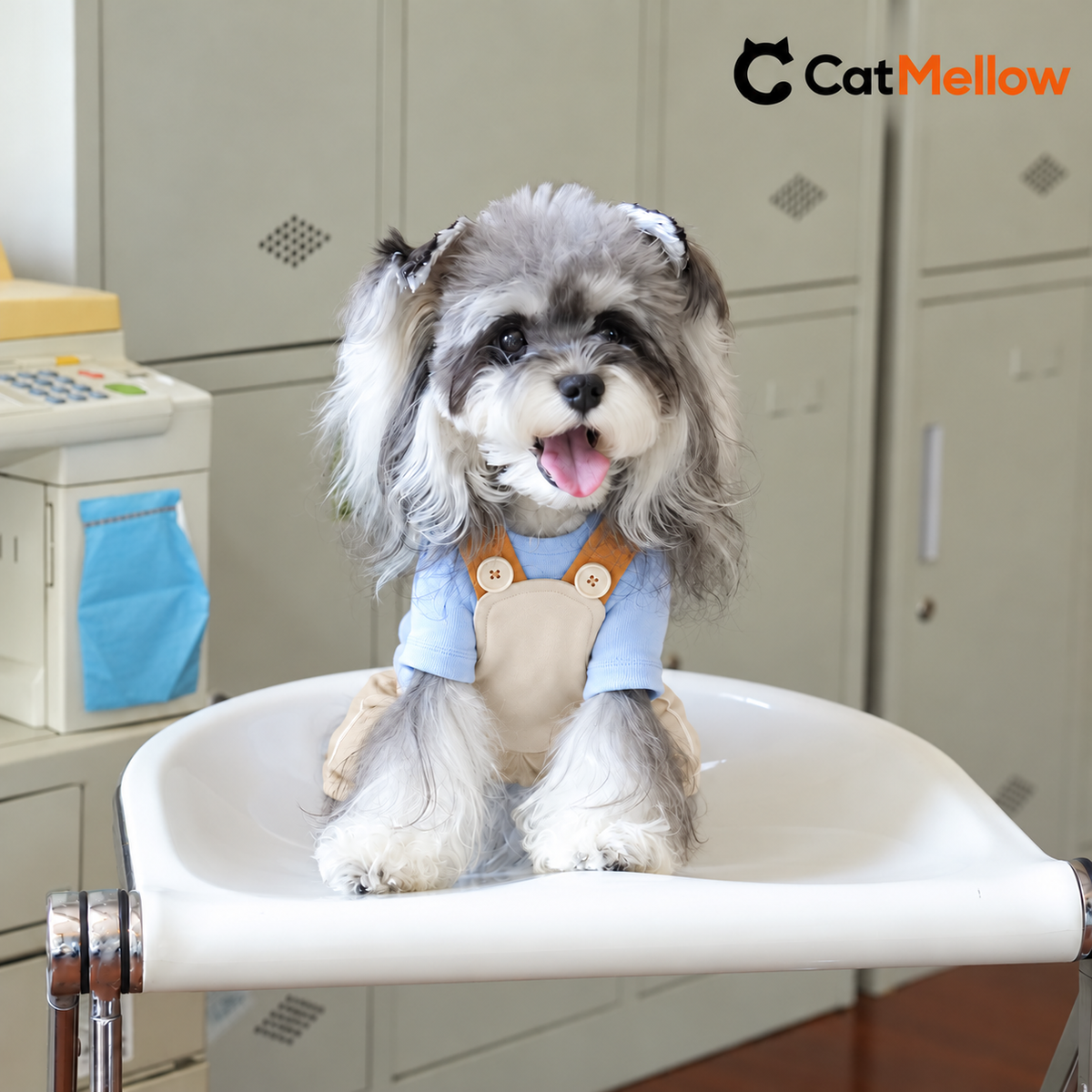 Dog modeling beige overalls with a blue shirt.