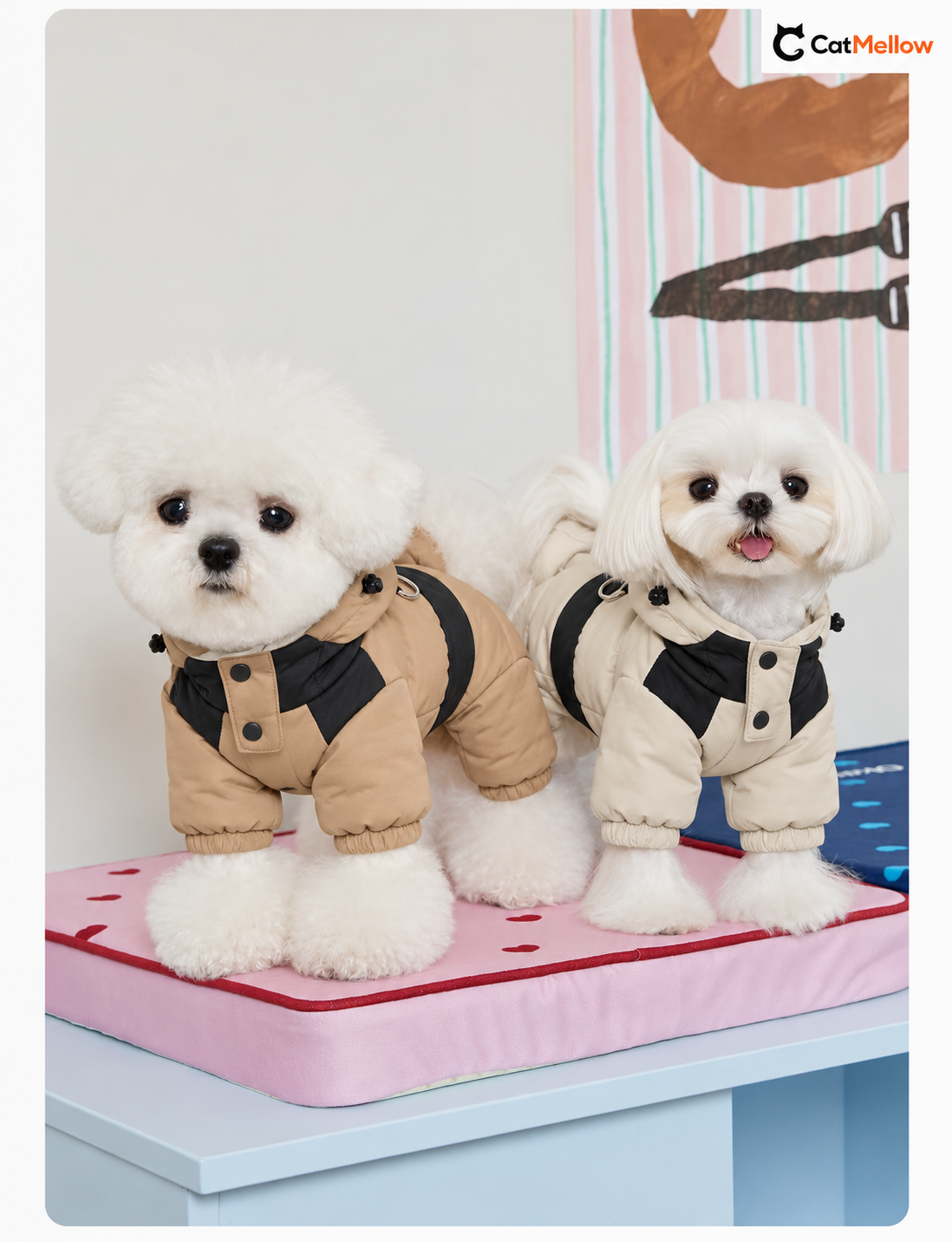 Two dogs in khaki and beige hooded four-leg dog snowsuits.