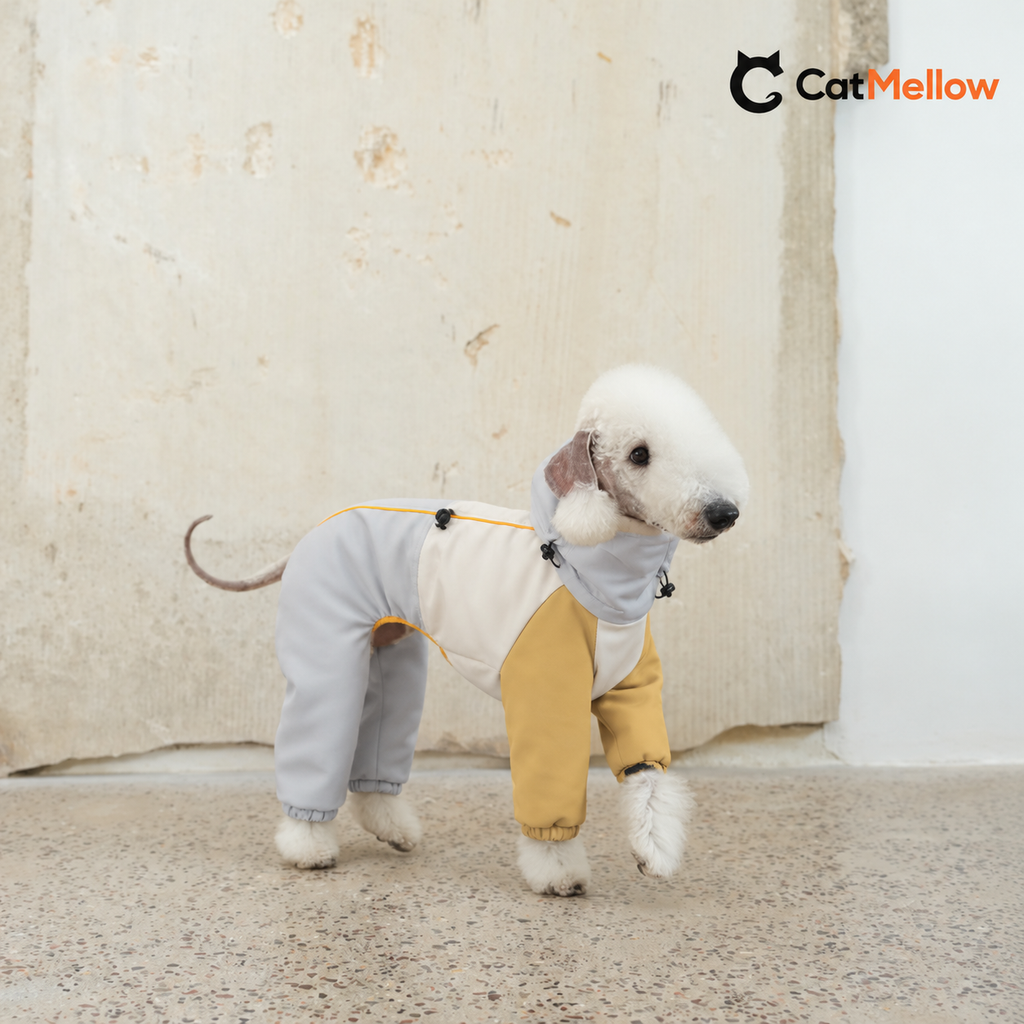 White dog wearing gray and mustard four-leg snowsuit