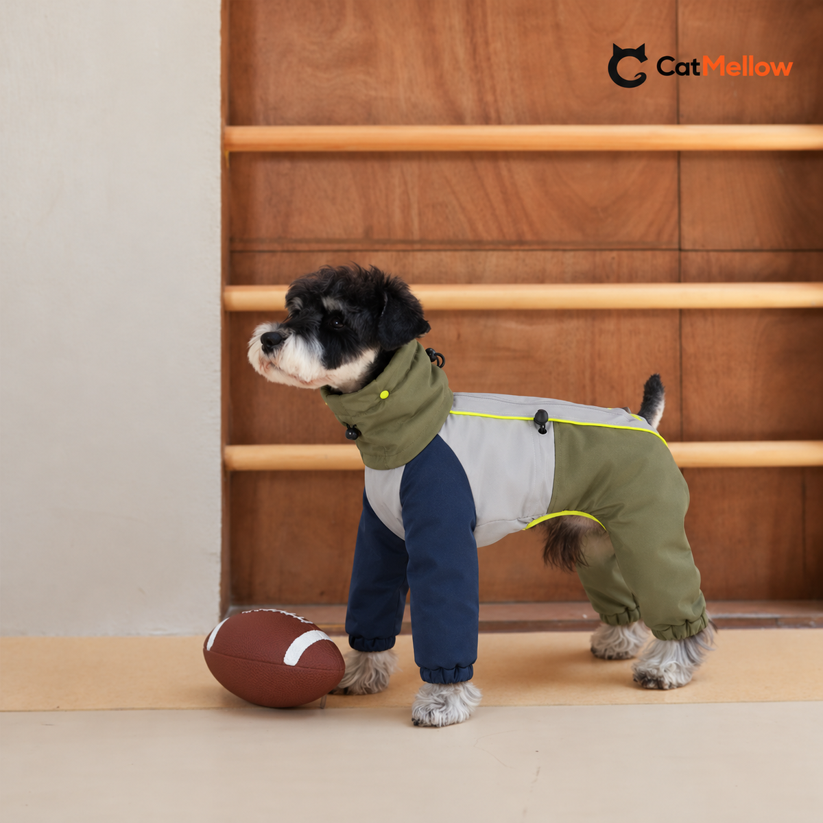 Black and white dog wearing olive and navy four-leg snowsuit