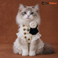 Cat wearing ivory Napoleon lace-trim vest coat, front seated view.