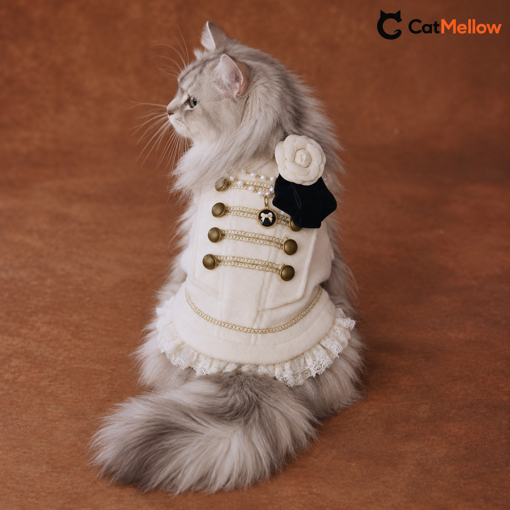 Rear view of cat wearing ivory Napoleon vest with gold-tone chain trim.