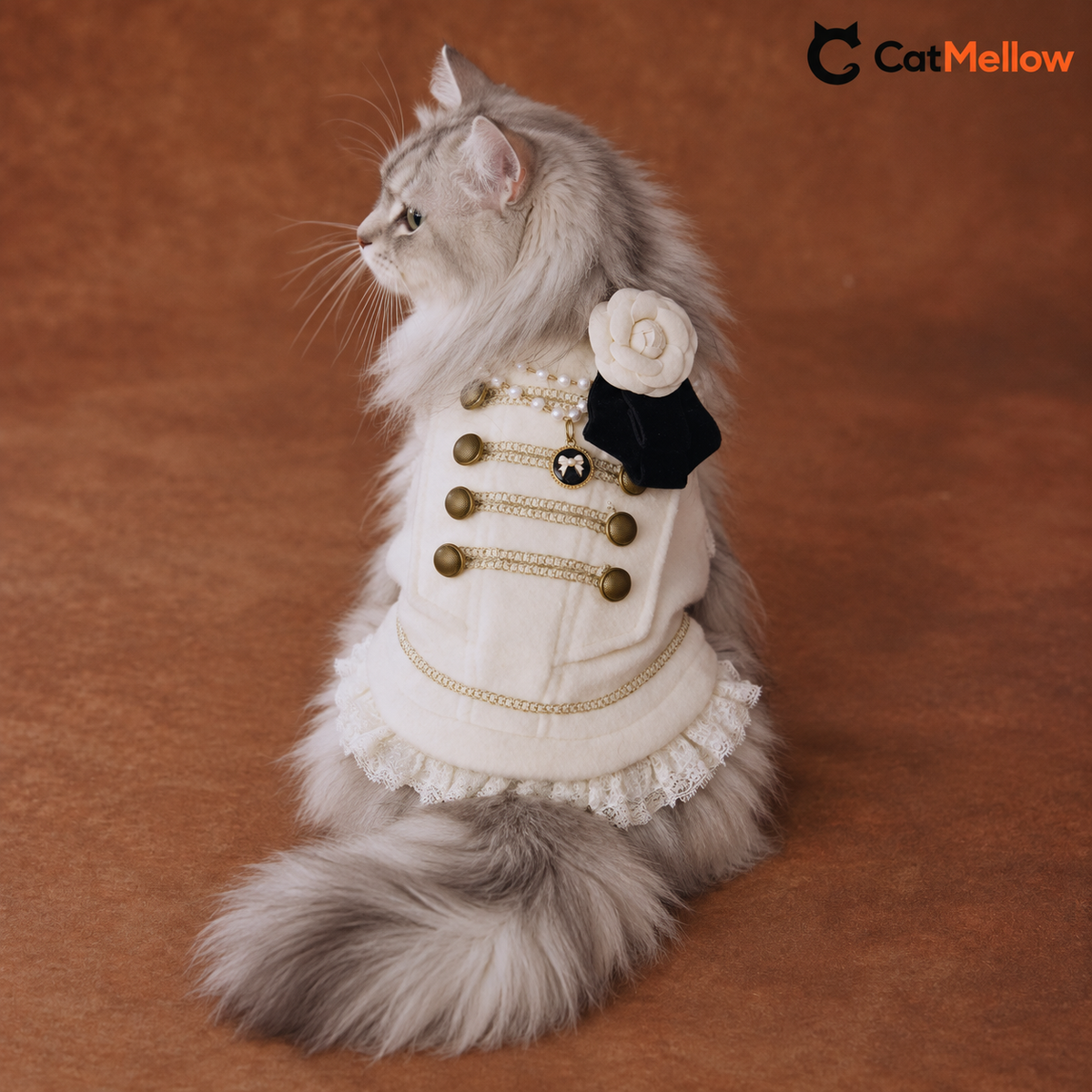 Rear view of cat wearing ivory Napoleon vest with gold-tone chain trim.
