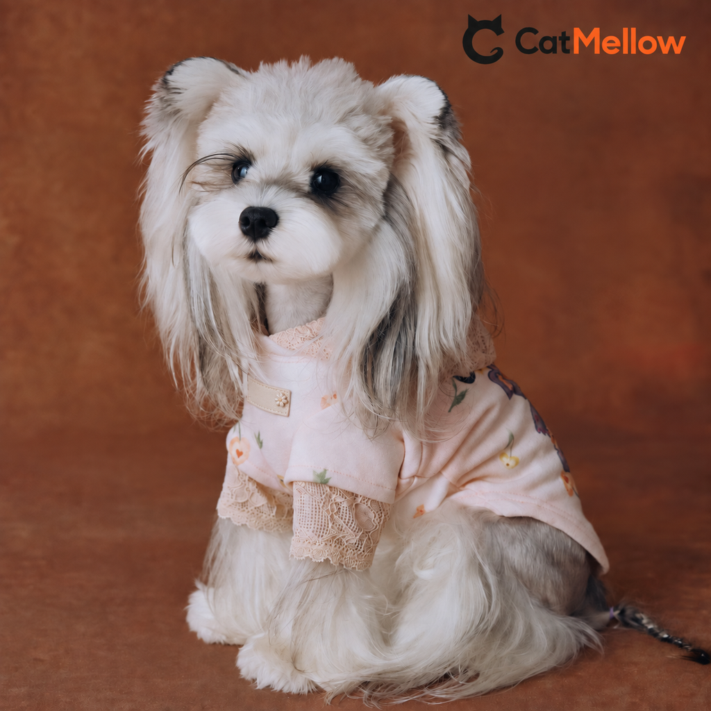 Dog wearing a pink lace teddy bear hoodie, seated three-quarter view