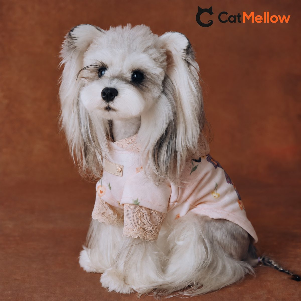 Dog wearing a pink lace teddy bear hoodie, seated three-quarter view
