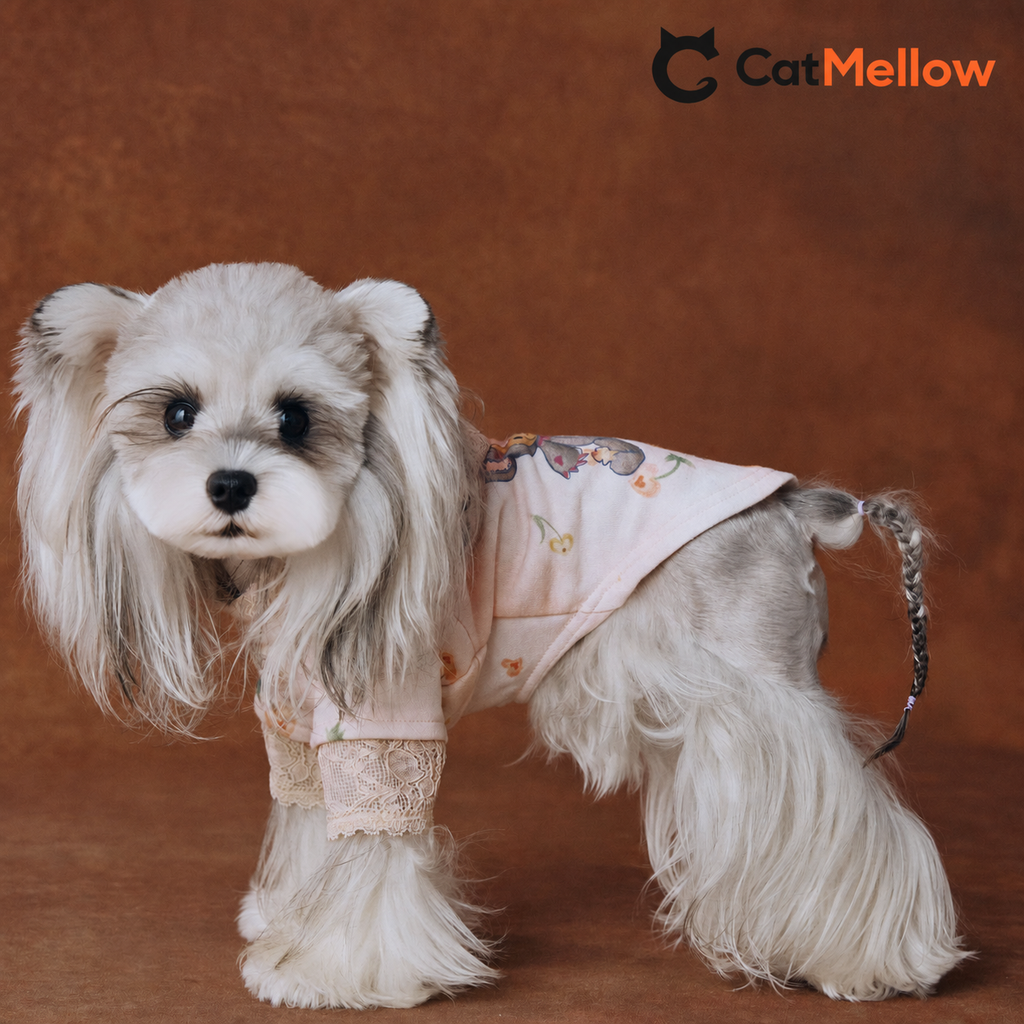 Dog standing in pink lace teddy bear hoodie, side view