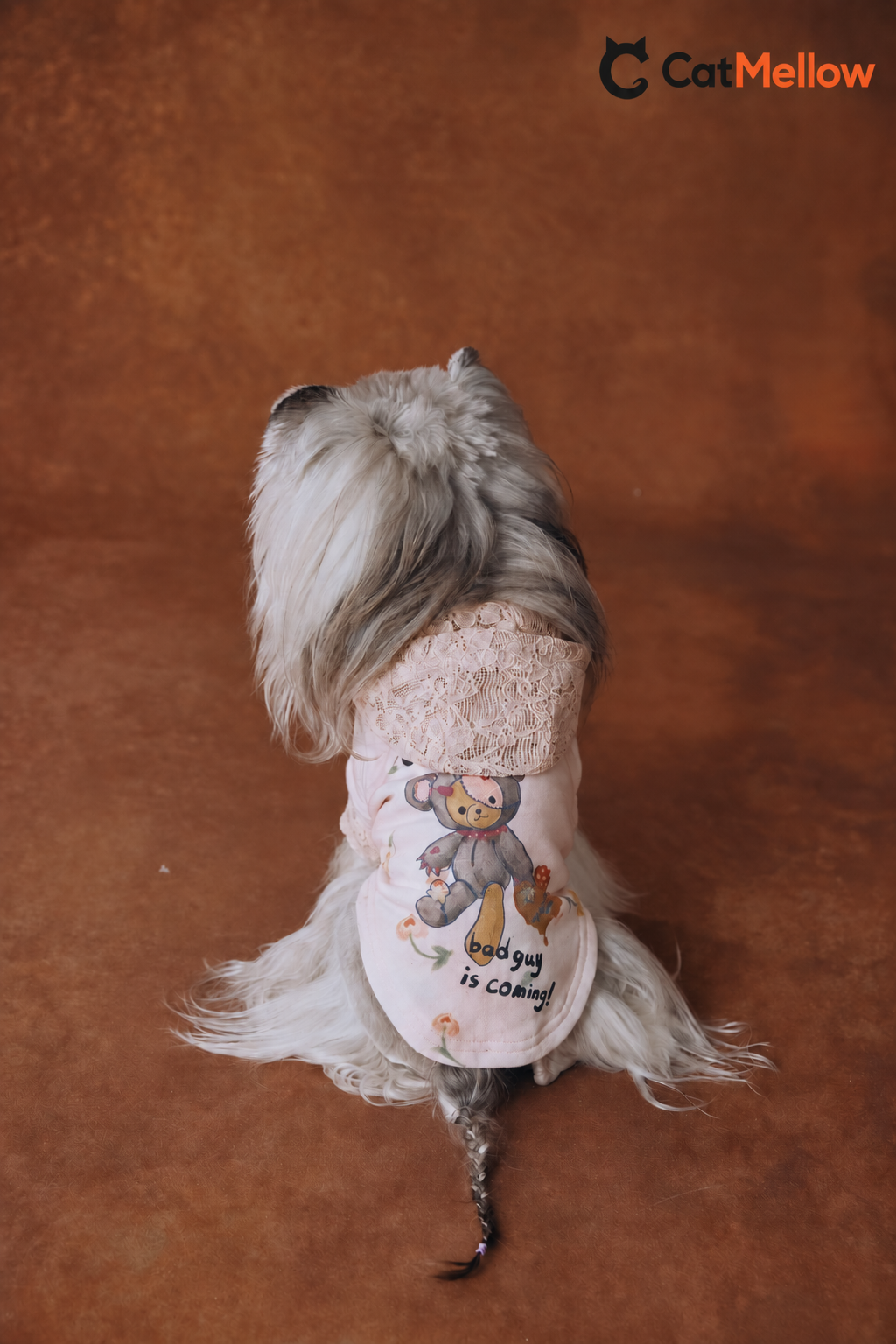 Dog wearing pink teddy bear hoodie, back view