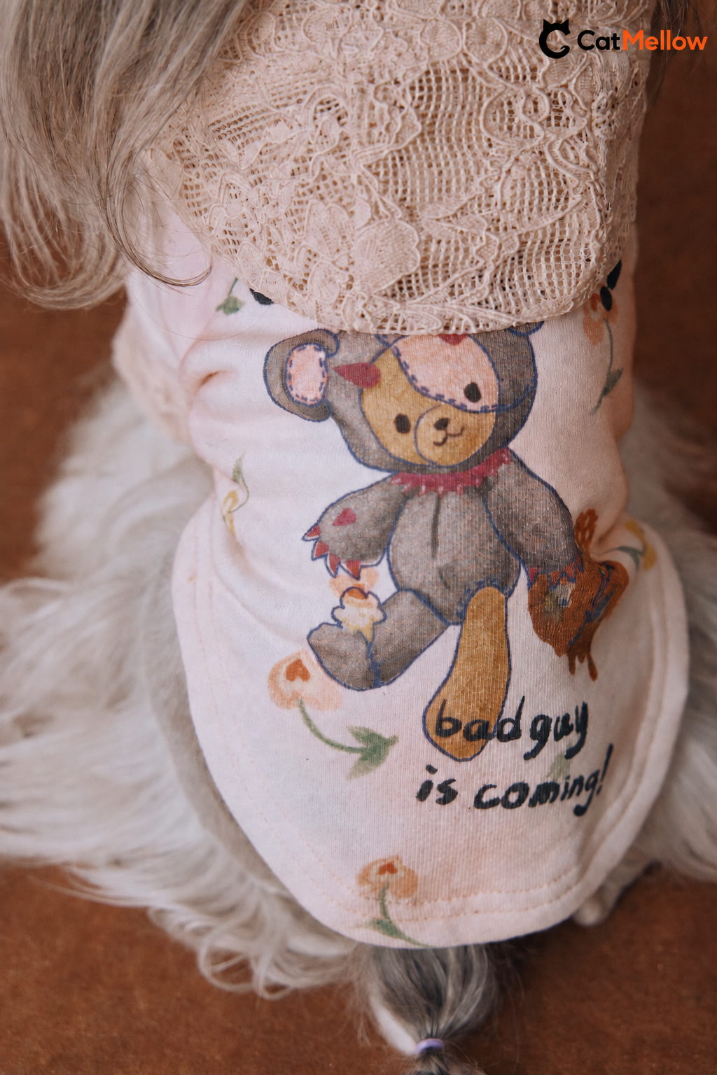 Teddy bear print and lace hood detail