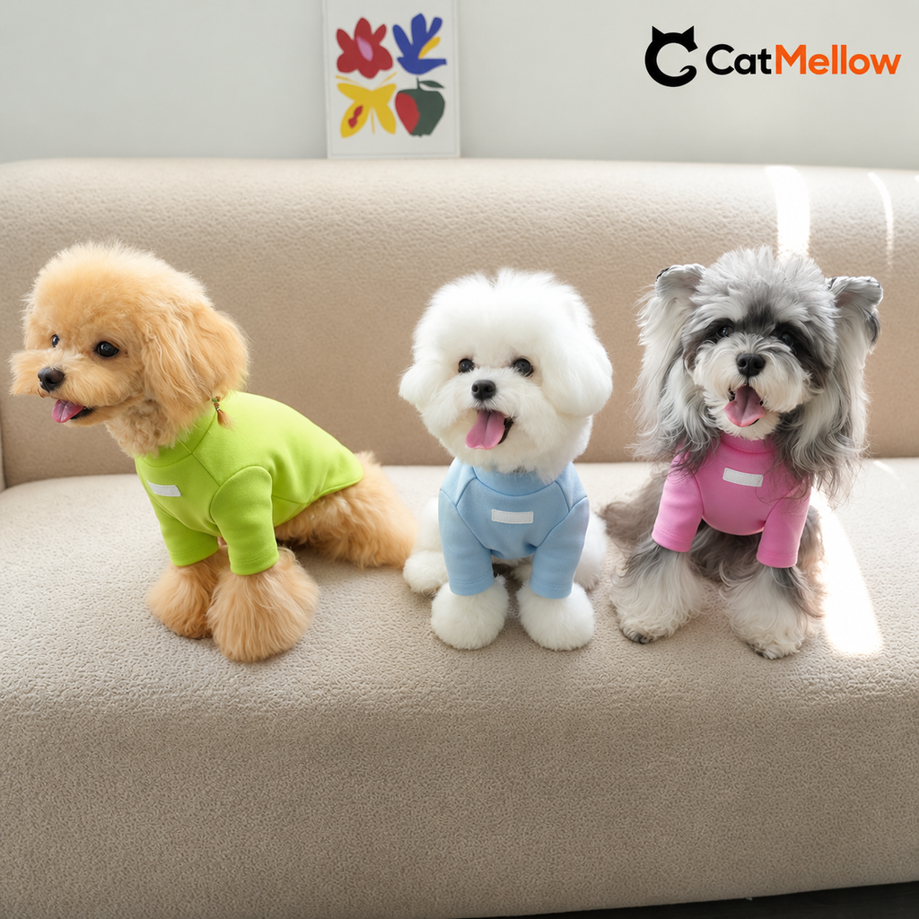 Three dogs wearing green, blue, and pink dog shirts