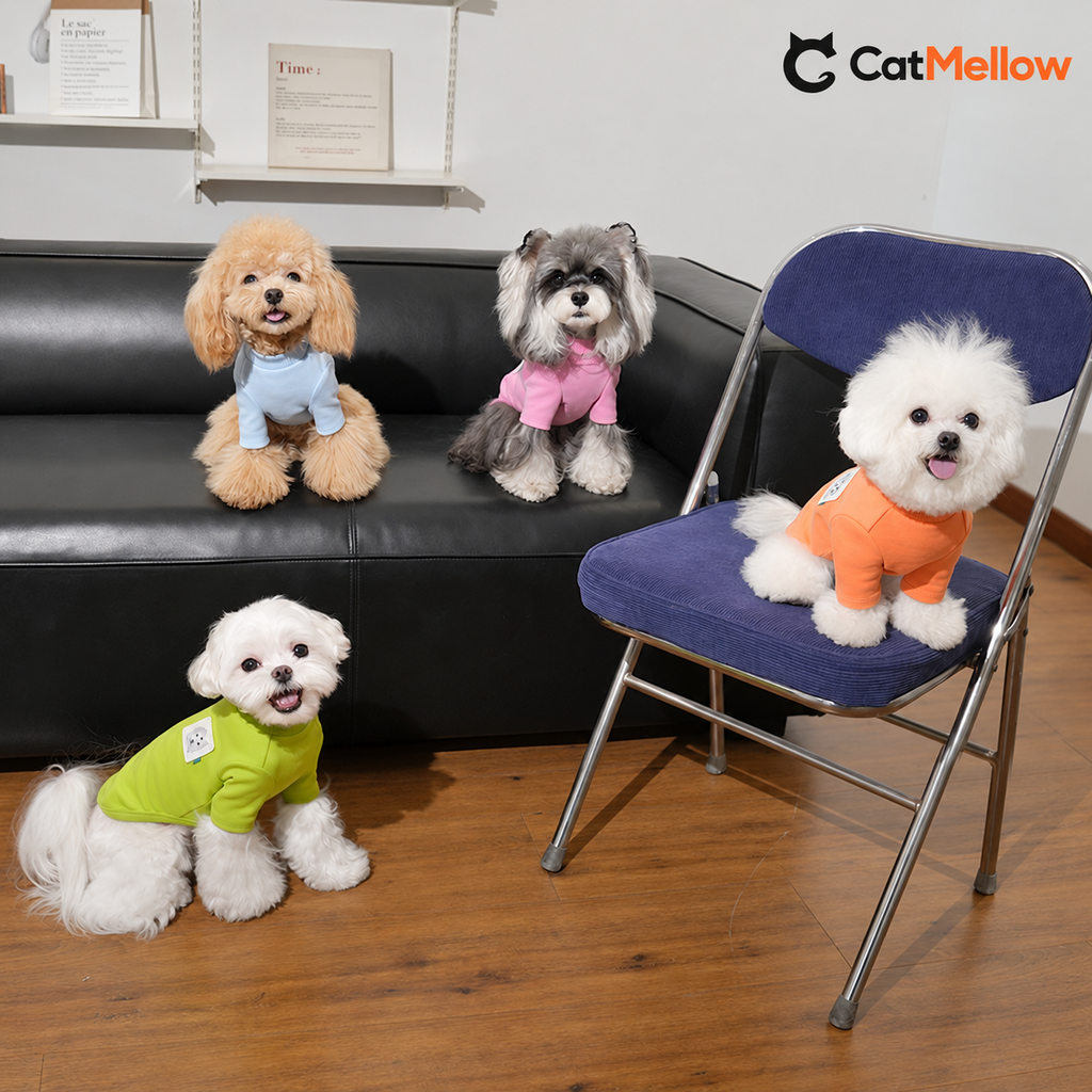 Four dogs wearing colorful two-sleeve shirts