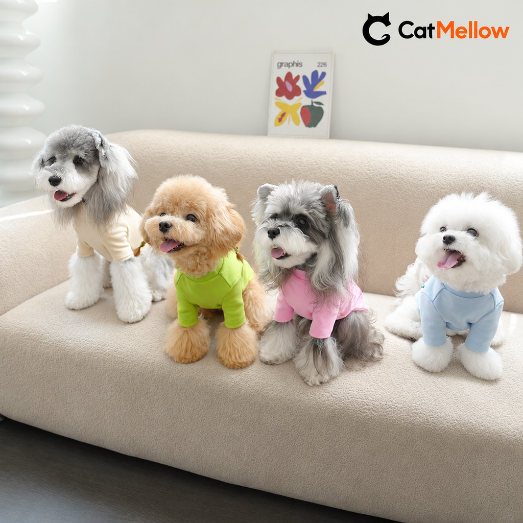 Four dogs wearing cream, green, pink, and blue shirts