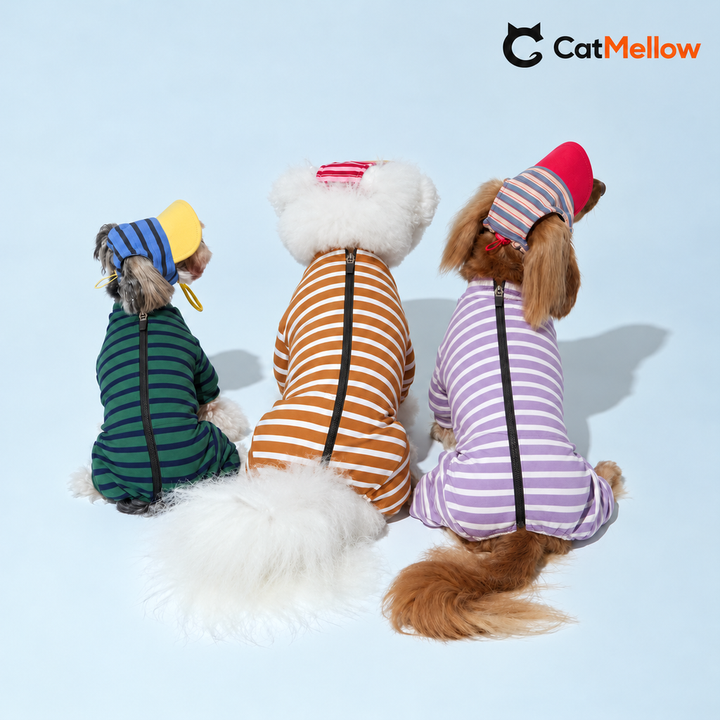 Three dogs wearing green, yellow and lavender striped four-leg onesies.
