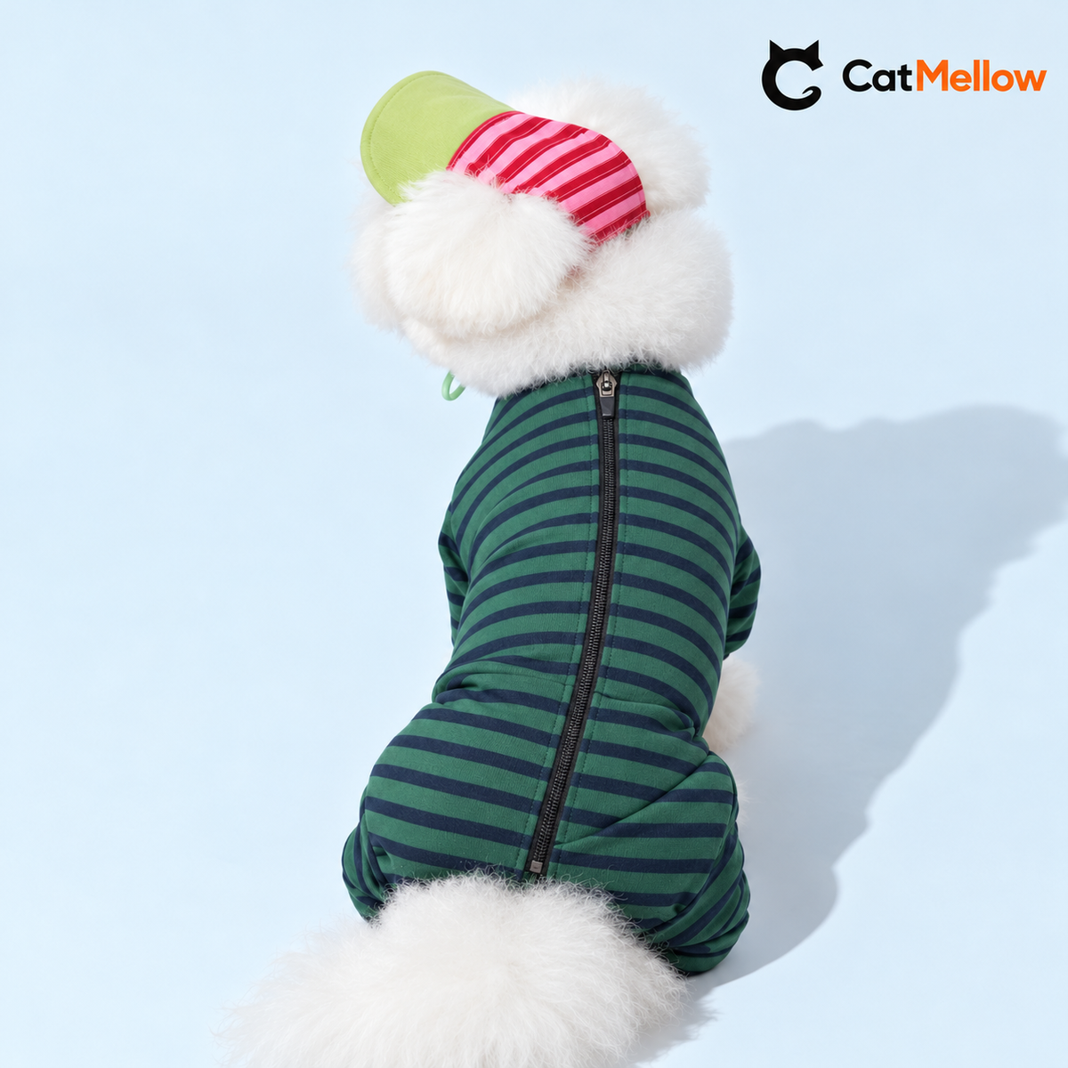 White fluffy dog in a forest green and navy striped onesie.