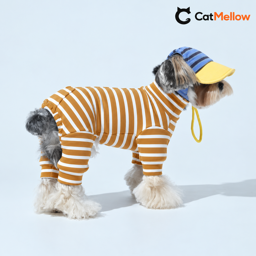 Schnauzer wearing a yellow and white striped dog onesie.