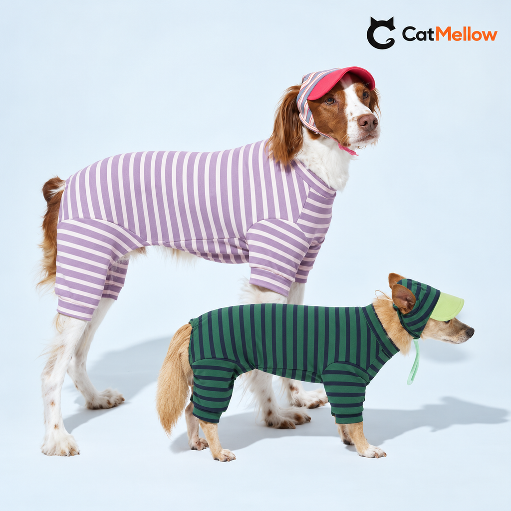Two dogs wearing lavender and forest green striped onesies.