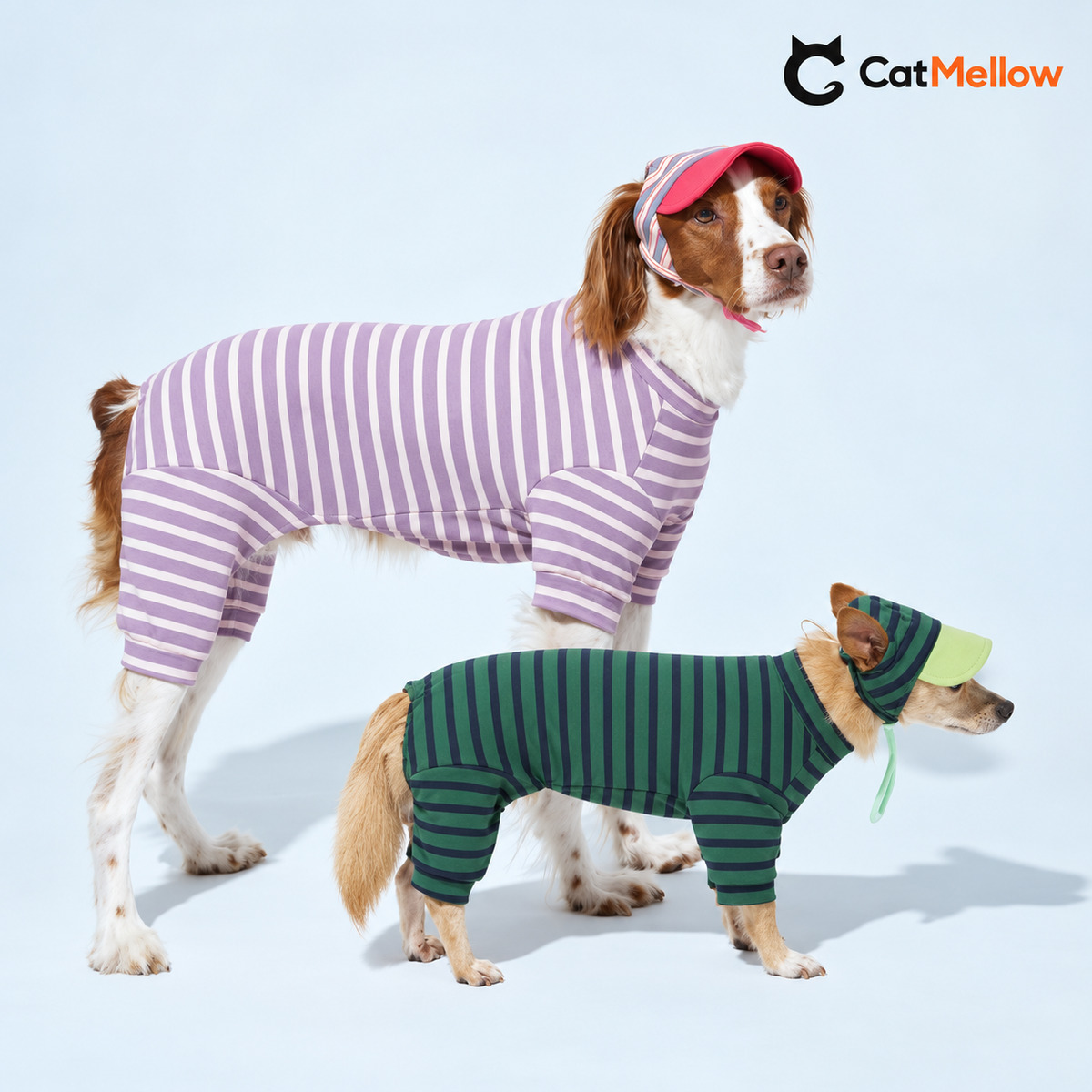 Two dogs wearing lavender and forest green striped onesies.