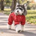 Schnauzer walking in a red four-leg padded dog snowsuit